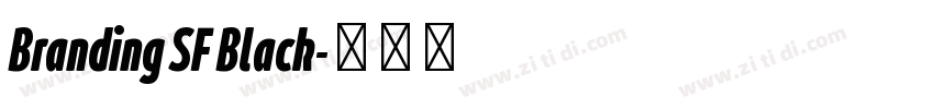 Branding SF Black字体转换